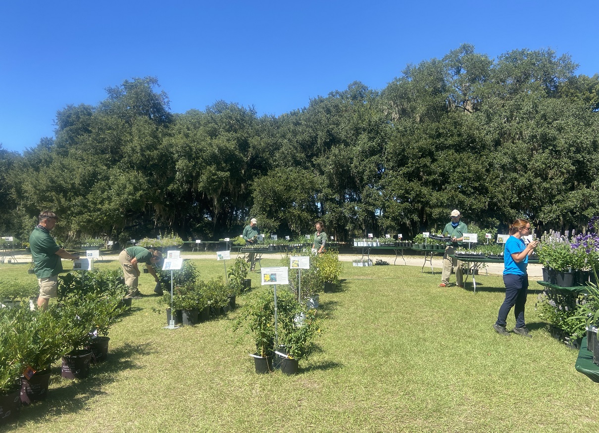 New Year, New Garden Part II Deciding What to Plant in Your Space